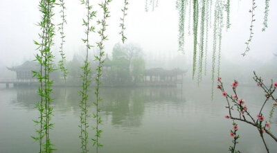 小雨纤纤风细细，万家杨柳青烟里。早安