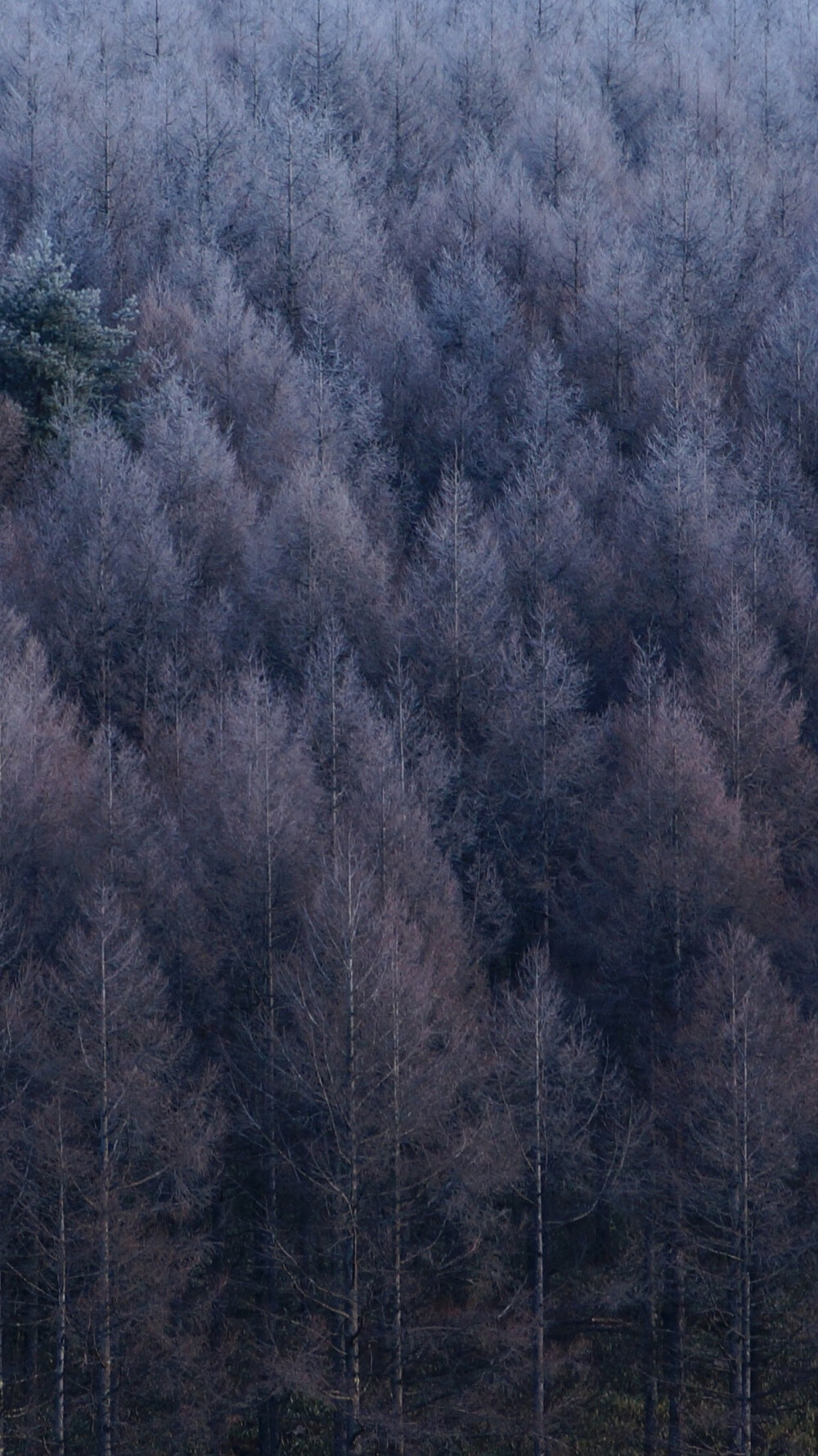 iPhone高清壁纸，风景壁纸，手机壁纸