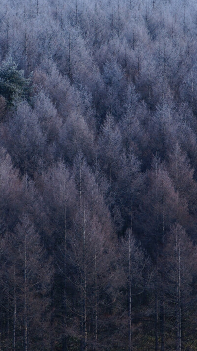 iPhone高清壁纸，风景壁纸，手机壁纸