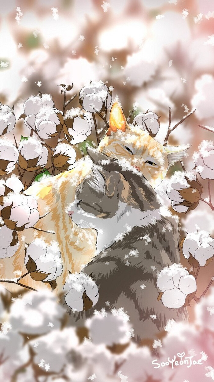 猫咪 壁纸 萌插画 sooyeonjae