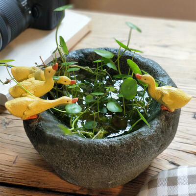 创意水培植物花盆个性多肉花器仿石臼小鸭子摆件盆栽装饰开业礼物