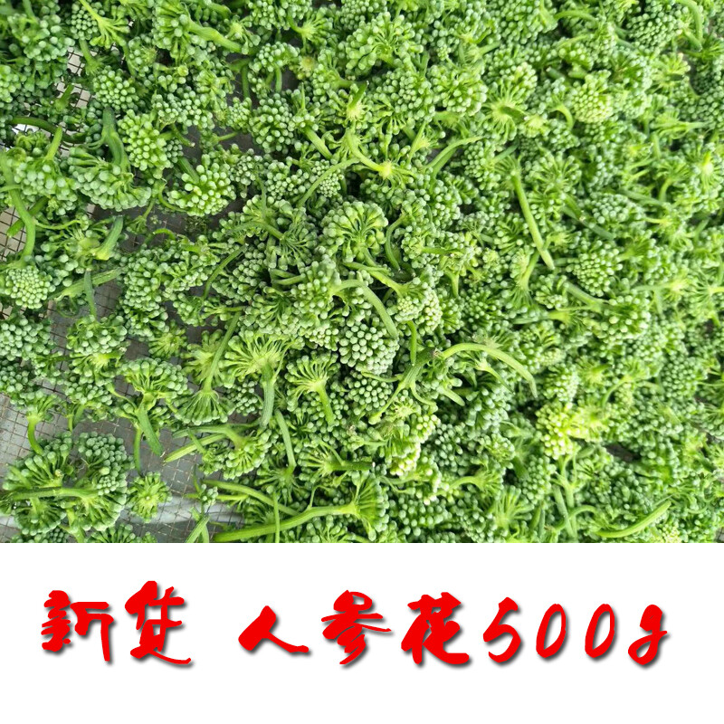 新货人参花长白山 8年根野生人参花蕾 晒干新鲜人参花茶500g包邮