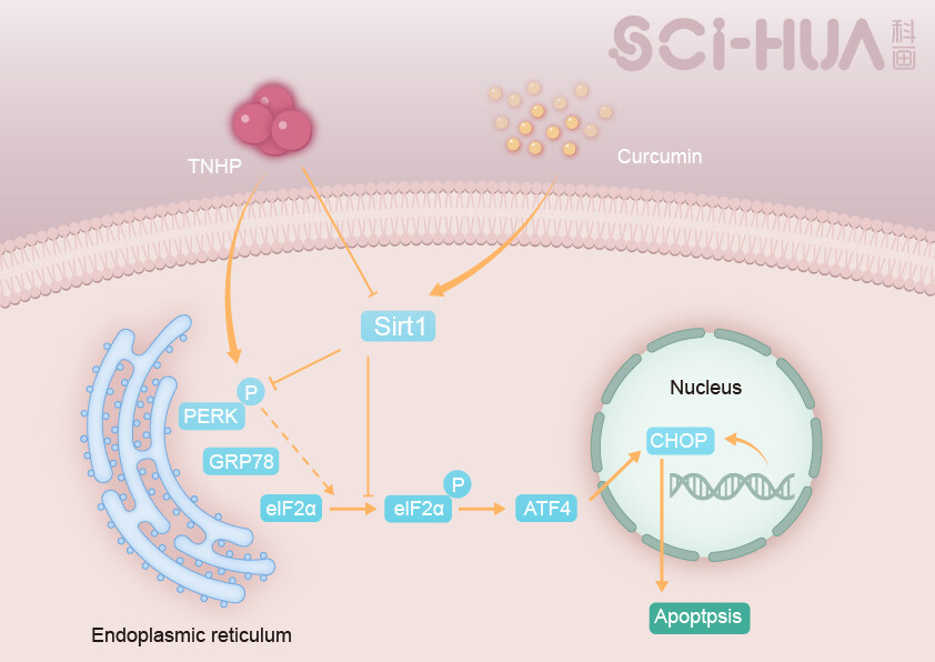 SCI-HUA科画 科研绘图