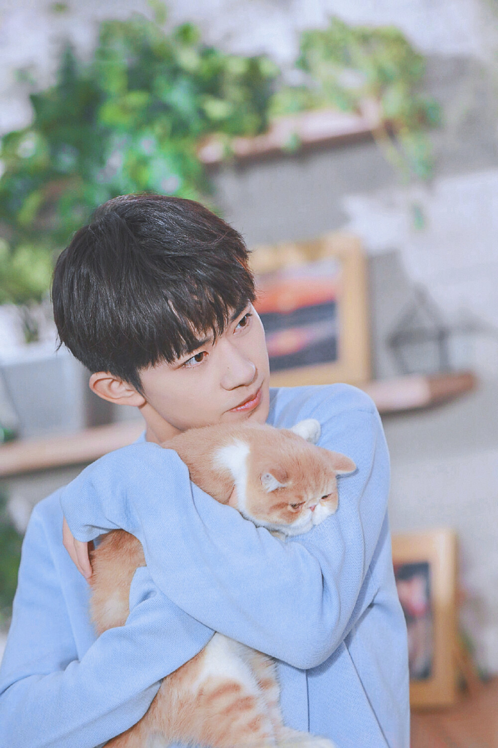 少年／日系男友风