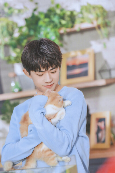 少年／日系男友风