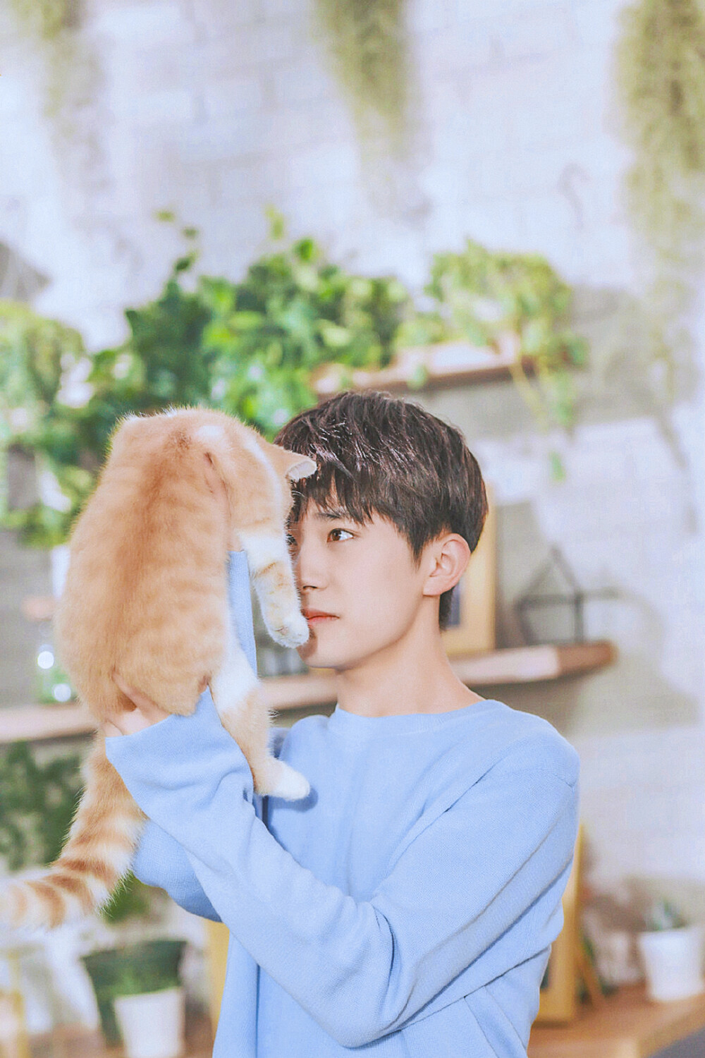 少年／日系男友风