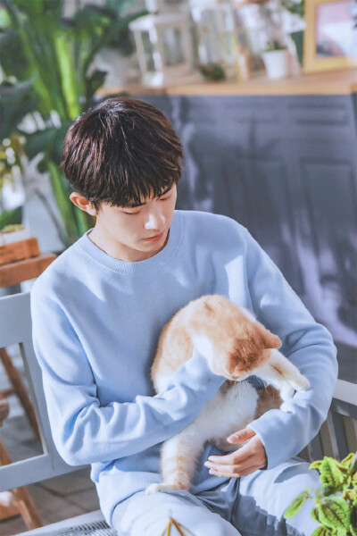 少年／日系男友风