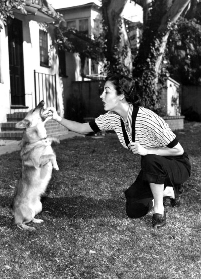 1952年，美国女星爱娃·嘉德纳（Ava Gardner）与她的柯基犬。 (摄影：Pictorial Parade）
这条柯基犬是爱娃·嘉德纳的第三任丈夫弗兰克·辛纳特拉所赠。 ​​​​