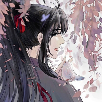 MDZS