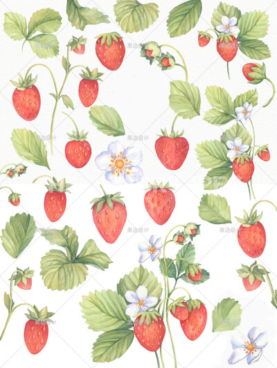 手绘水彩清新植物草莓水果植株花环PNG图片海报卡片PS设计素材