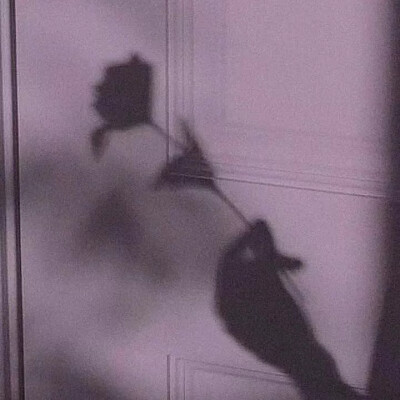 宝贝们 我回来了！