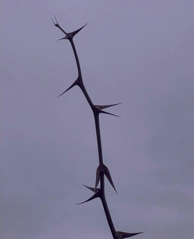 宝贝们 我回来了！