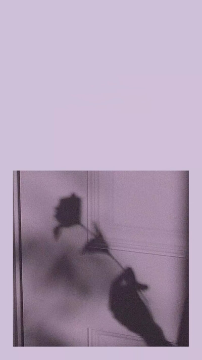 宝贝们 我回来了！