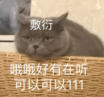 好久不见哇，今日份表情包来啦
侵权立删
高糊表情包 喵咪 熊猫头 gif 金馆长 斗图 文字系列 厉害了 装逼大神 蛤蛤蛤 魔性 喵咪表情包 文字系列 搞笑 暴走漫画 文字控 表情包 