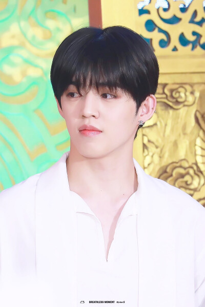 SEVENTEEN S.coups 崔勝澈