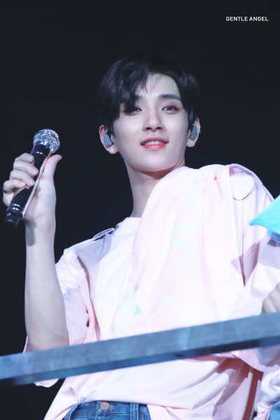 SEVENTEEN Joshua 洪知秀