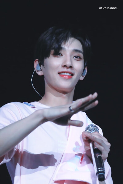 SEVENTEEN Joshua 洪知秀