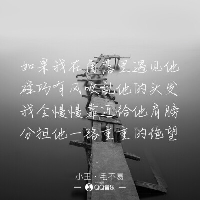 最喜欢这句“如果我在角落里遇见他，碰巧有风吹乱他的头发，我会慢慢靠近给他肩膀，分担他一路重重的绝望”
致所有在坎坷路上依然向前的人，蓦然回首，会对自己说声辛苦了。