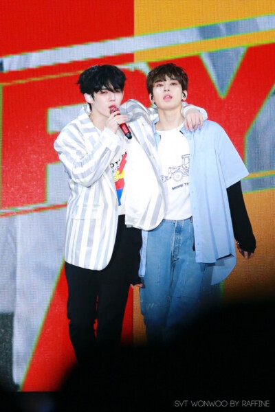 SEVENTEEN S.coups & 全圓佑