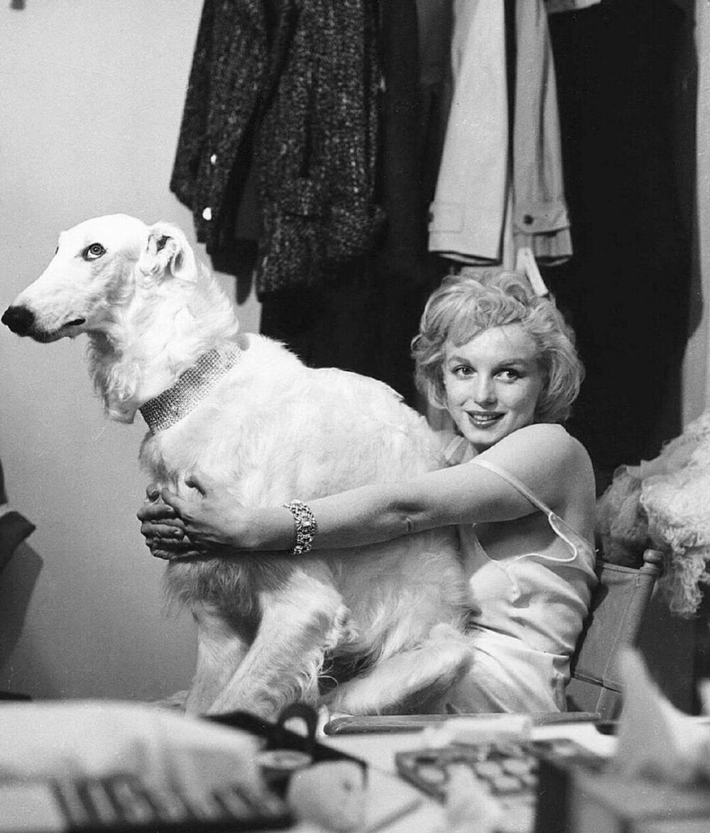 Marilyn Monroe with a White Borzoi giving her a funny look, photographed by Richard Avedon, 1958. ​​​