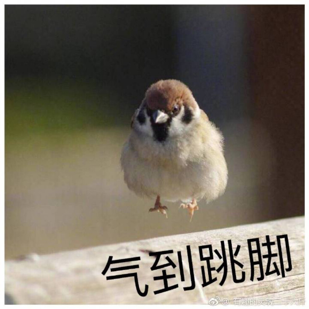 表情包