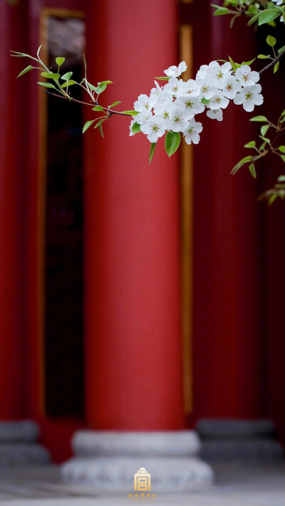 紫禁城