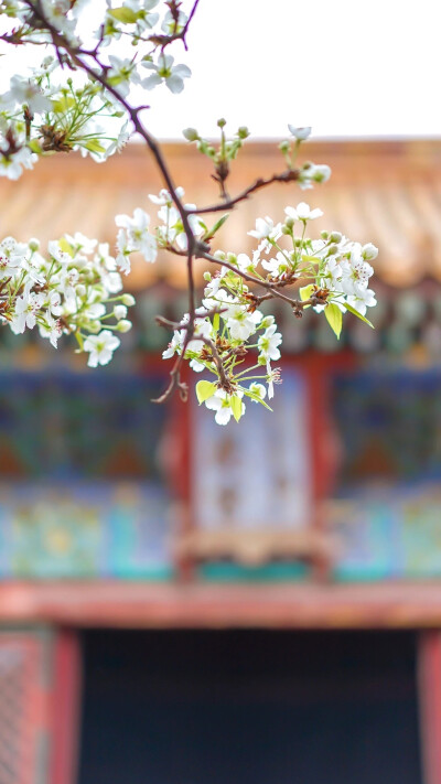 紫禁城