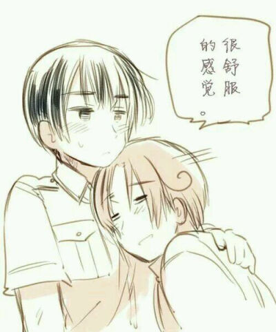 APH枢轴花