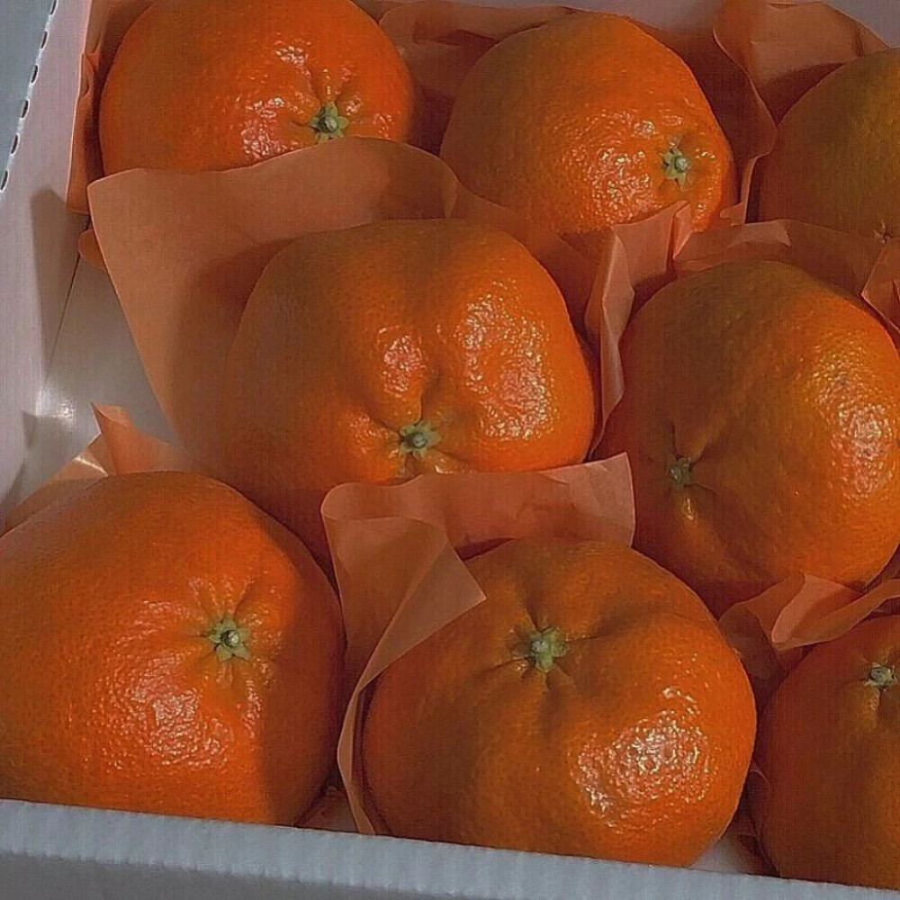 橙色.