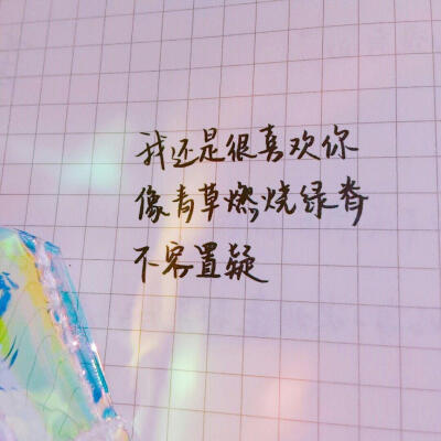 文字。还是喜欢你