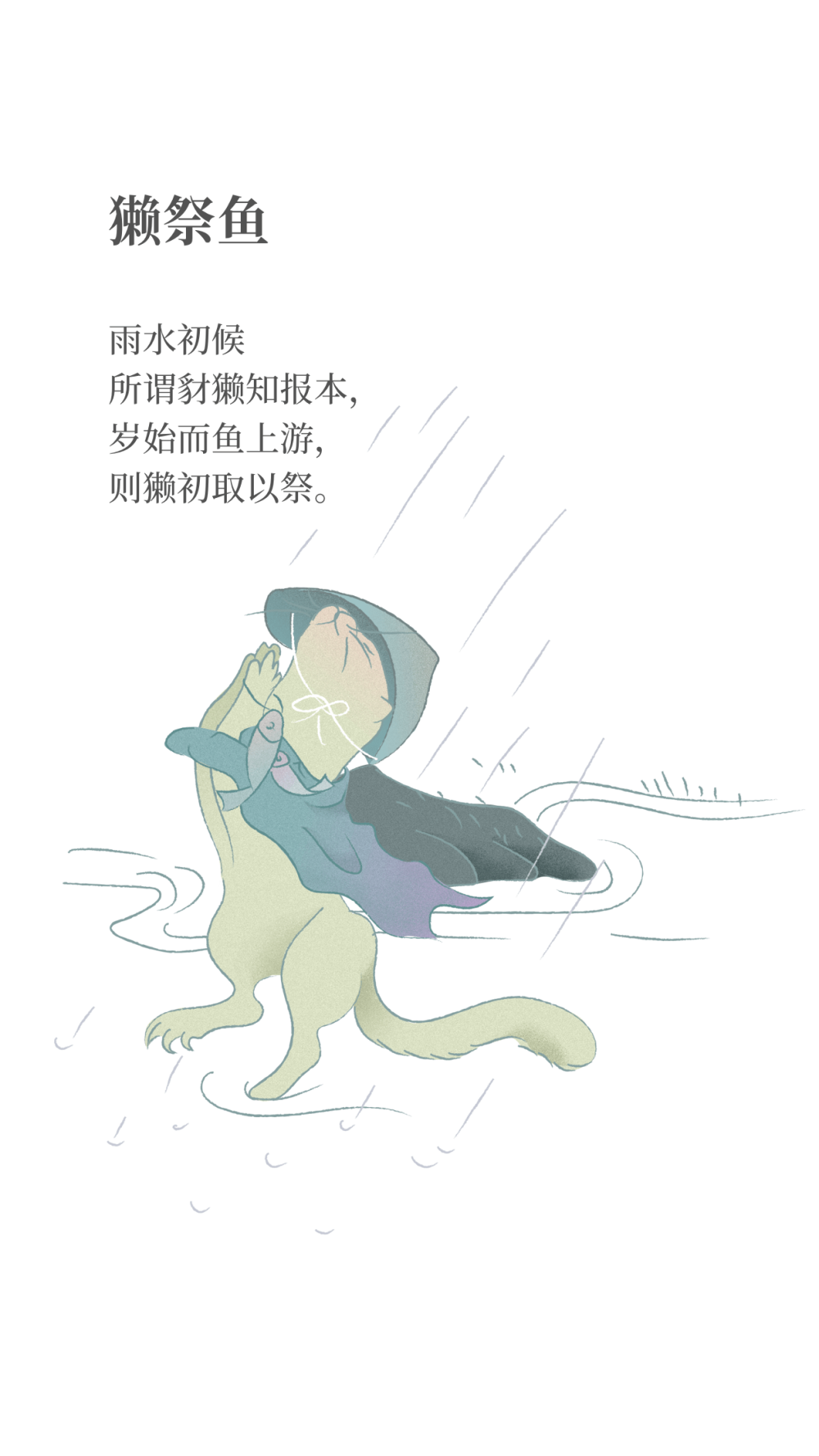 雨水