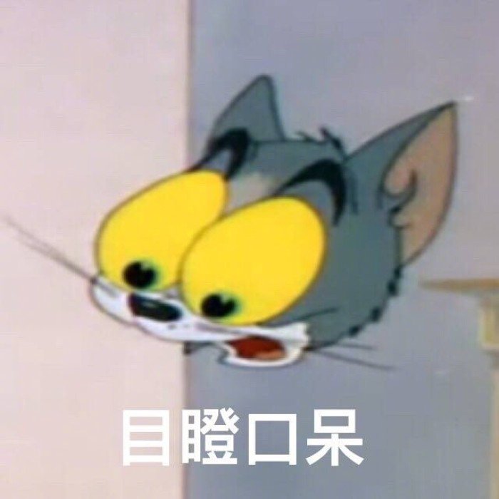 猫和老鼠