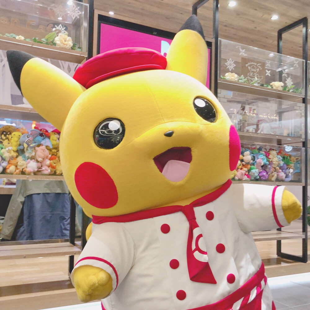 dt林书瑶 二传注明