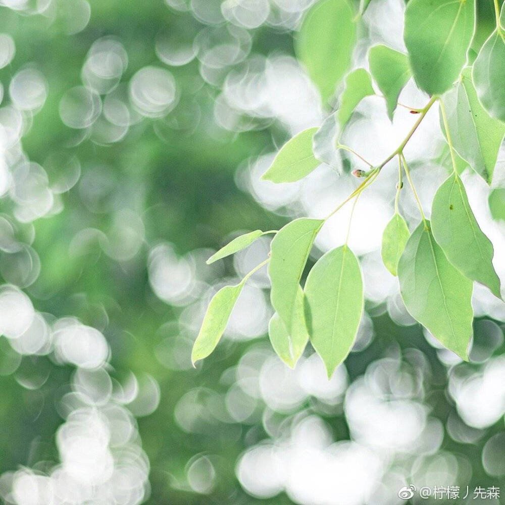 #摄影#
_路上，
怀念的是曾经。
摄影：@一白山