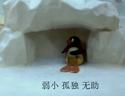 企鹅家族PINGU