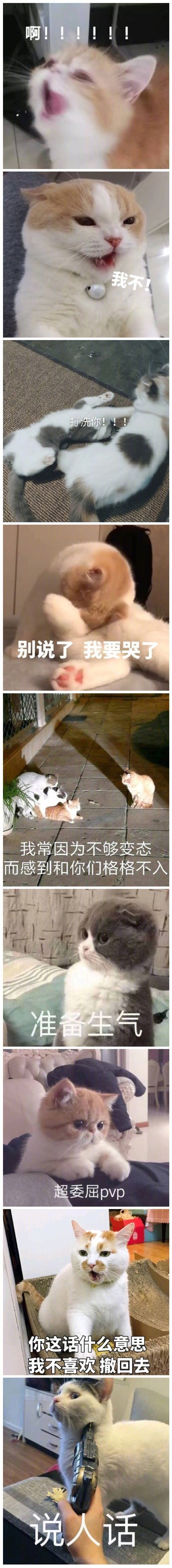 表情包