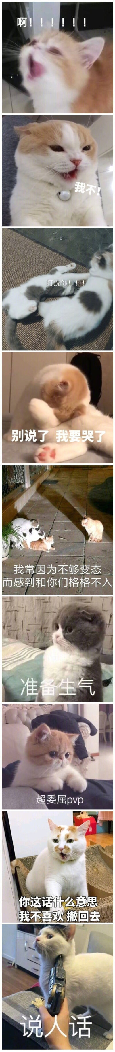 表情包