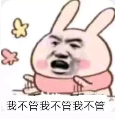  • https:// biaoqingbao .com •