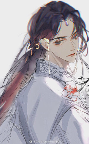 二哈和他的白猫师尊