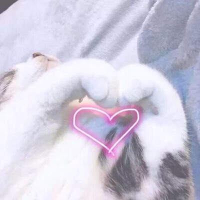 • https:// biaoqingbao .com •