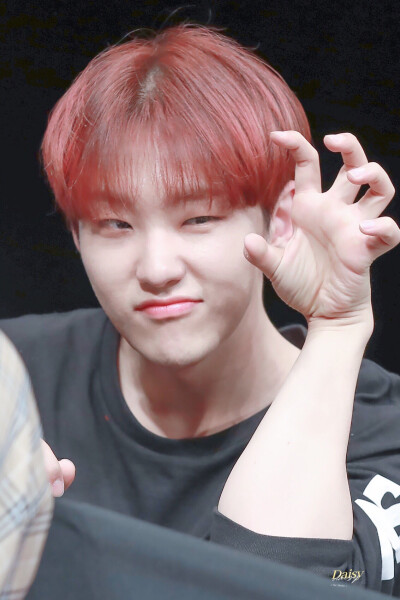 SEVENTEEN HOSHI 权顺荣