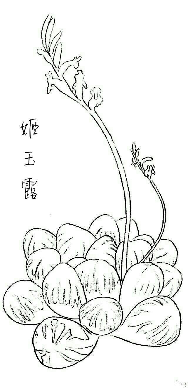 橡皮章素材