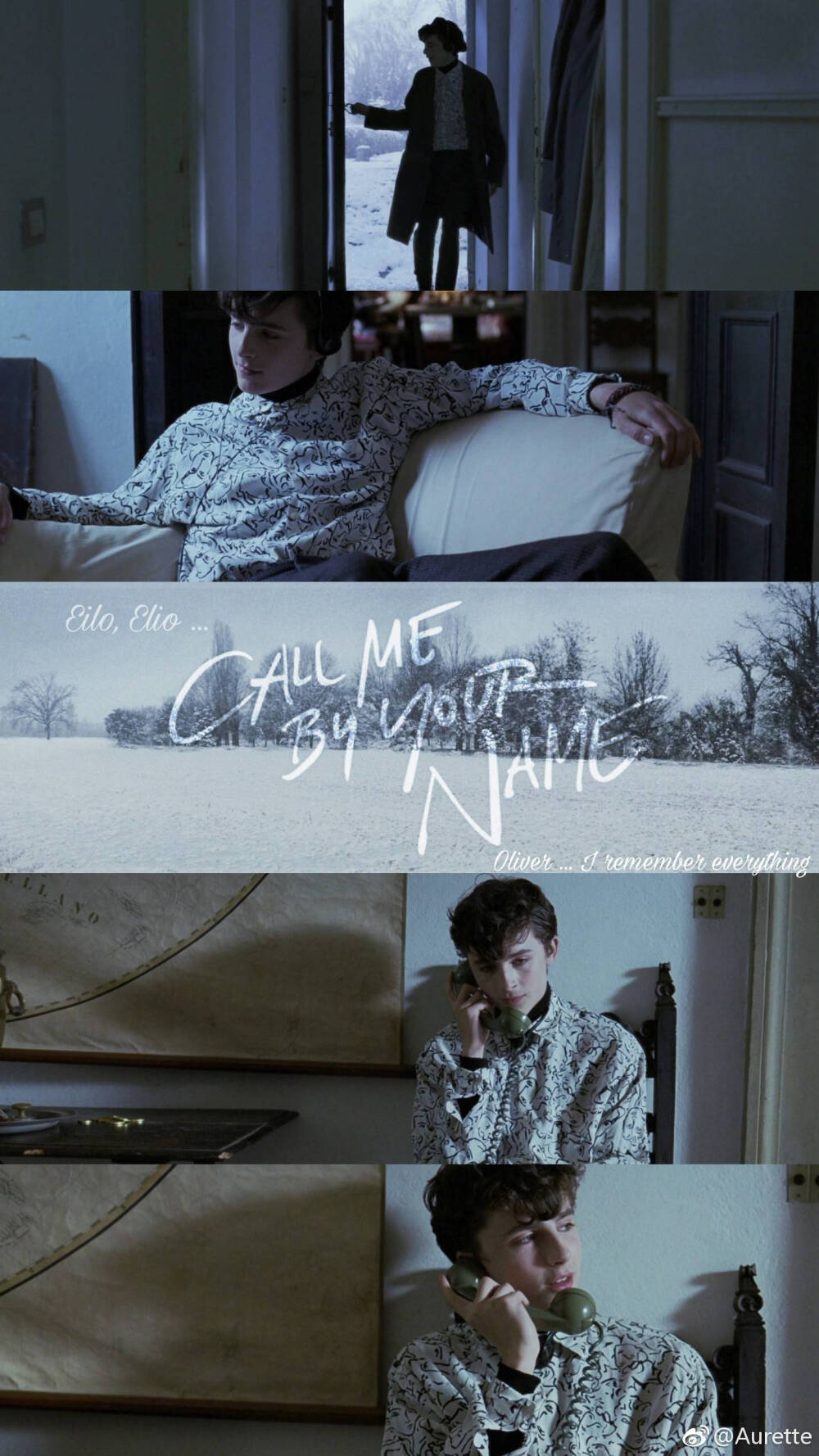 请以你的名字呼唤我 call me by your name