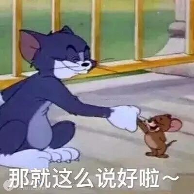 猫和老鼠