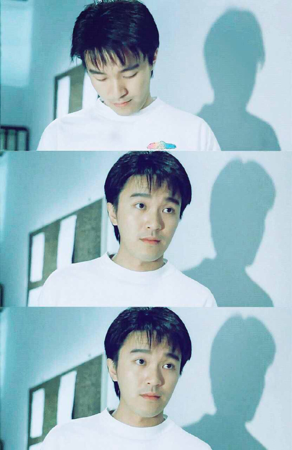 堆糖终于修好啦，我又可以收藏星爷美照啦