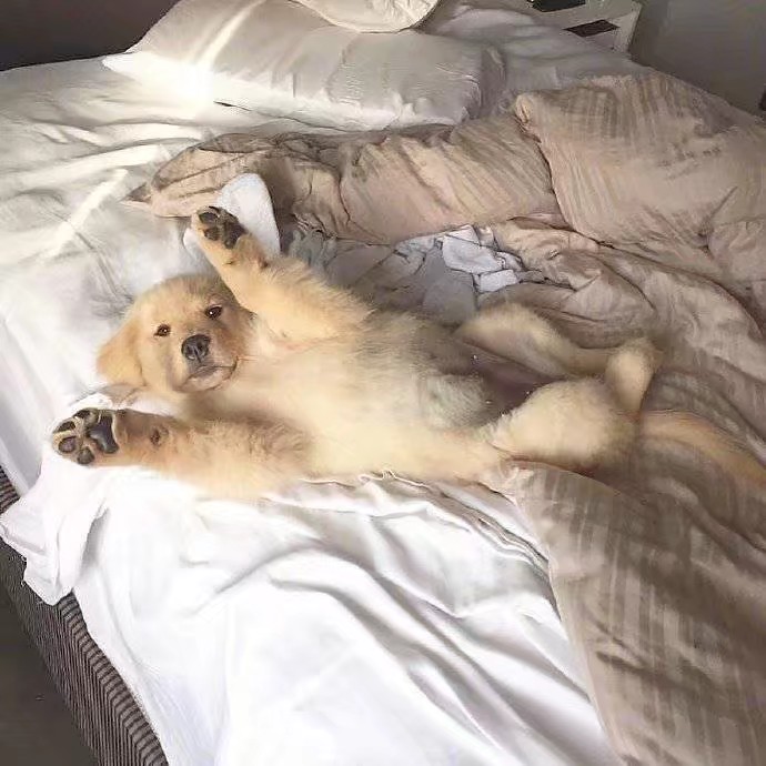 喏~给你看我的小jiojio❤️