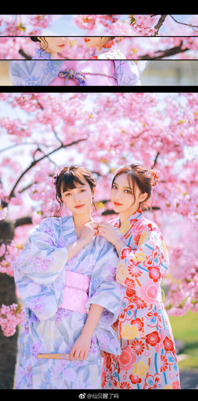 #上海约拍#
《河津·樱花祭》
出境 : @我要这脸有何用 × @SNH48-戚予珠
摄影/后期：@仙贝醒了吗
#青岛约拍##杭州约拍##苏州约拍##摄影#