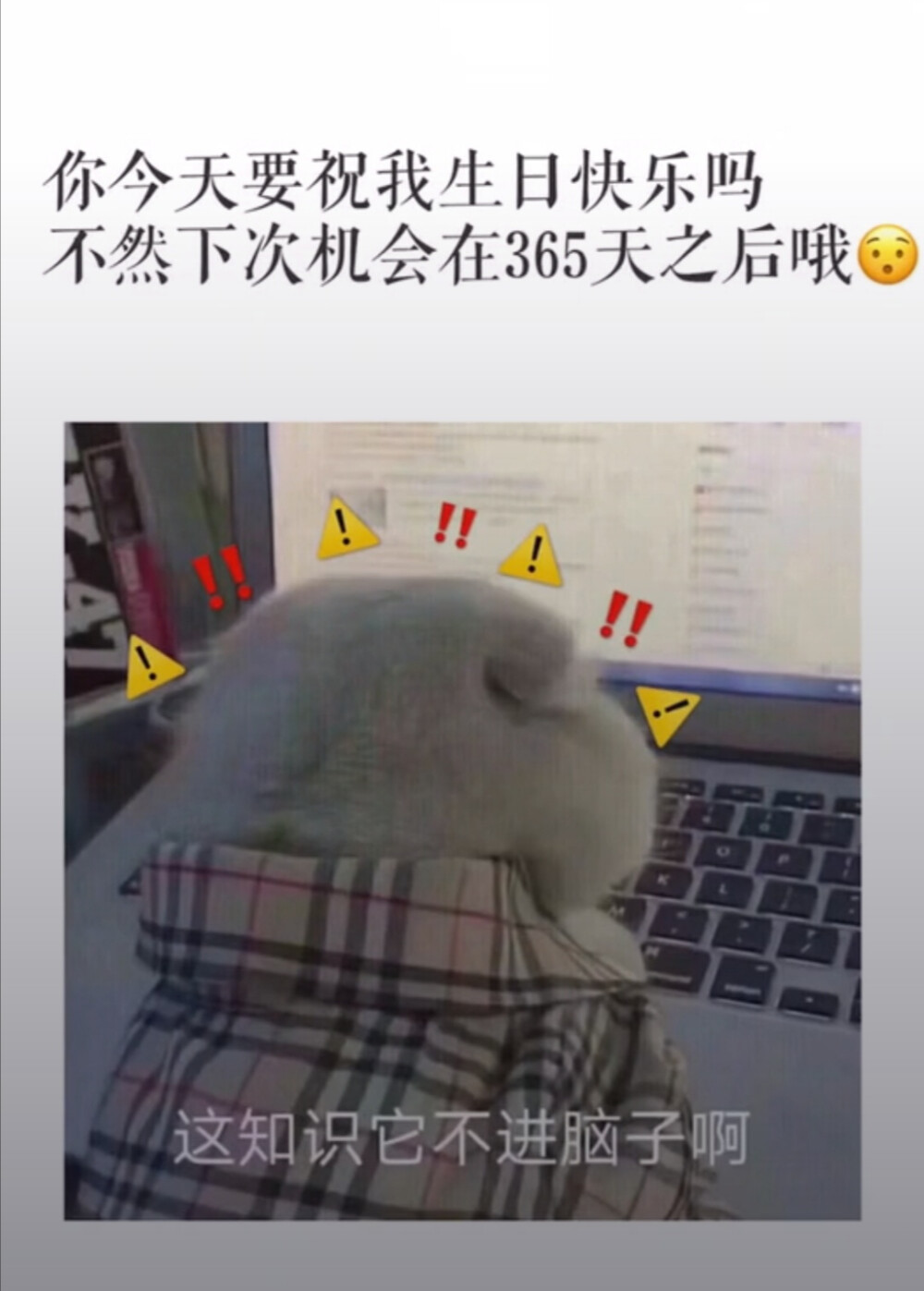 生日快乐