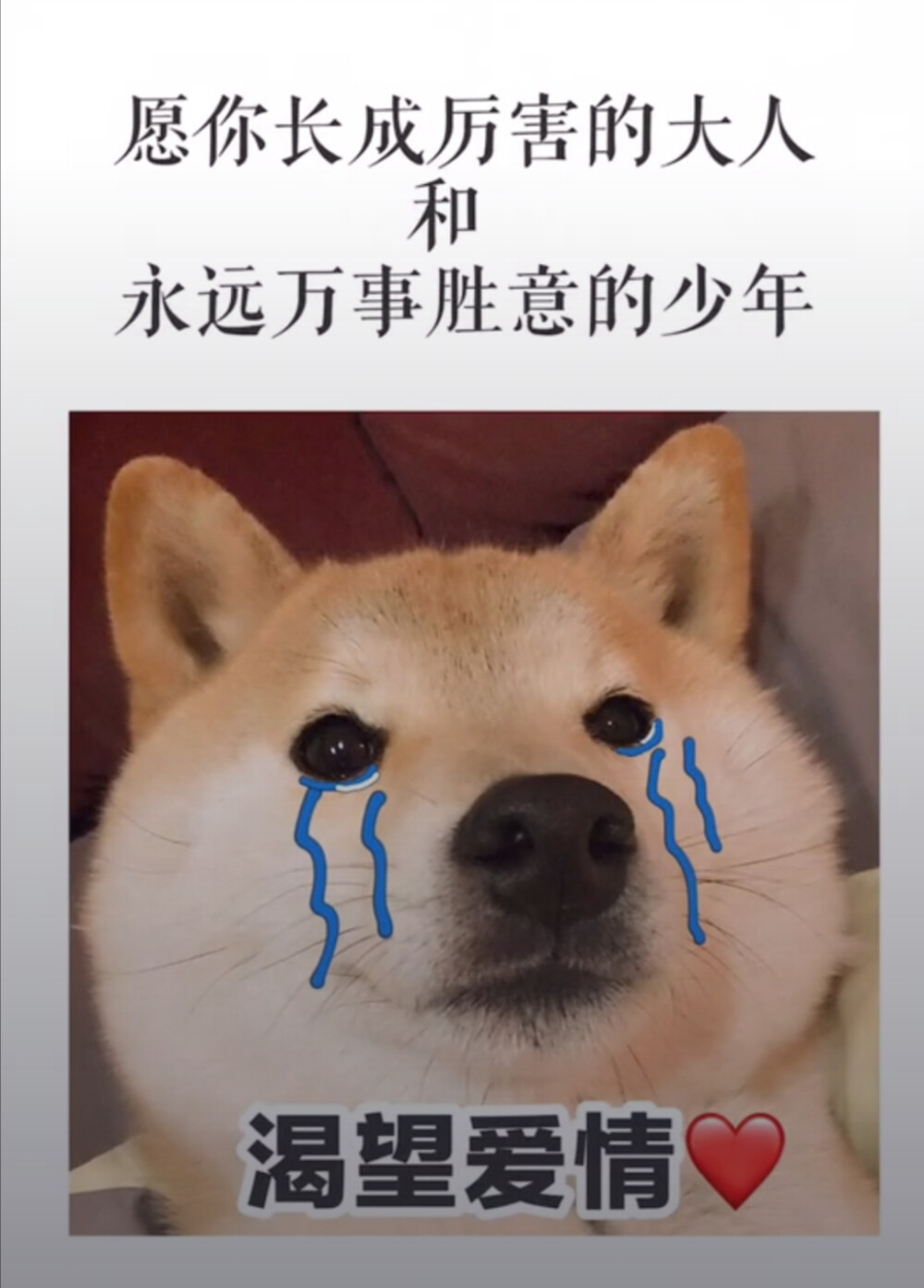 生日快乐