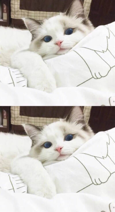 你是我宇宙限量贩售的快乐